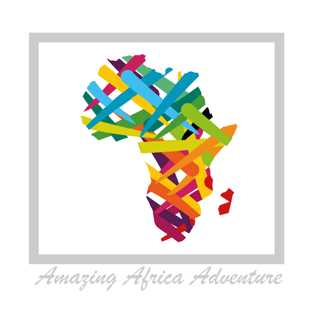 Amazing Africa Adventure